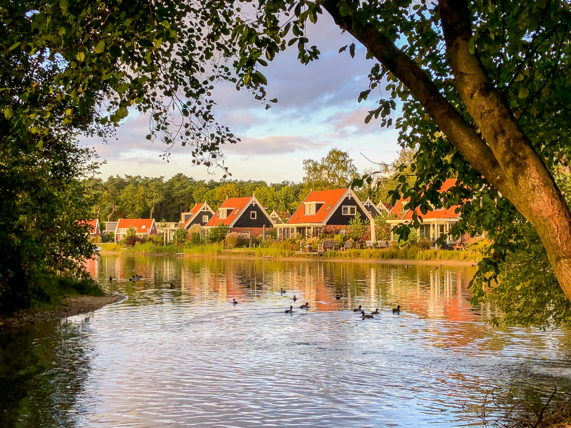 Entdecken Sie die beliebtesten Regionen für einen Zweitwohnsitz in den Niederlanden